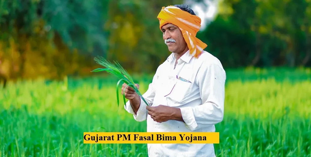 gujarat pm fasal bima yojana online registration
