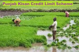 punjab kisan credit limit scheme