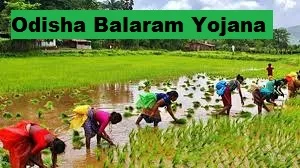 odisha balaram scheme