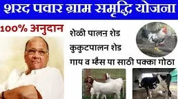 maharashtra sharad pawar gram samridhi yojana