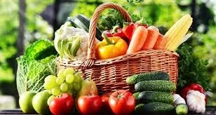 haryana horticulture department schemes
