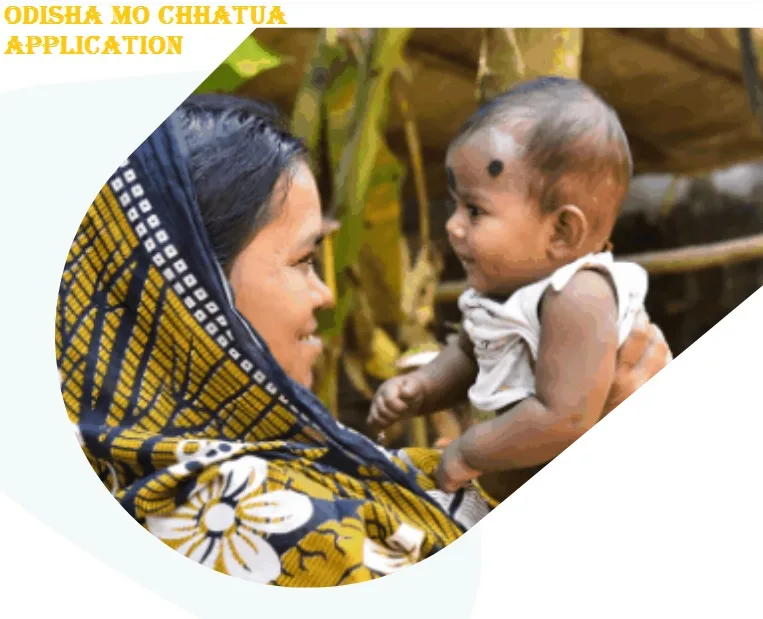 odisha mo chhatua application