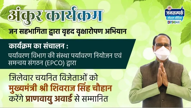 mp ankur scheme