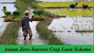 assam zero interest crop loan scheme 2025