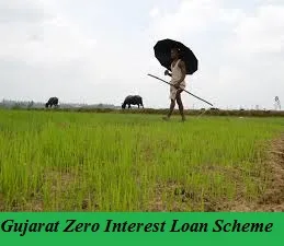 gujarat zero interest loan scheme