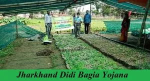 jharkhand didi bagia yojana 2025