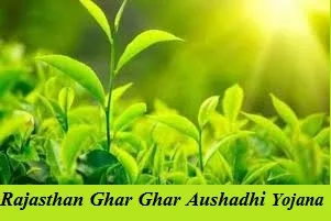 rajasthan ghar ghar aushadhi yojana 2025