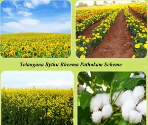 telangana rythu bheema pathakam scheme 2025 apply online