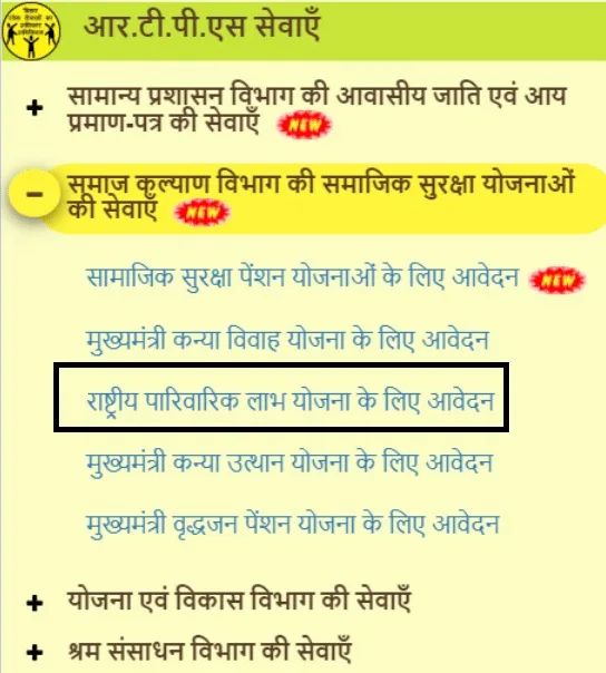 bihar parivarik labh yojana 2025