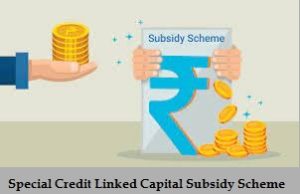 special credit linked capital subsidy scheme 2024