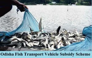 odisha fish transport vehicle subsidy scheme 2025