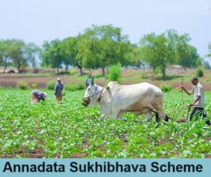 annadata sukhibhava scheme 2024