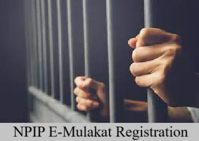 npip e-mulakat registration